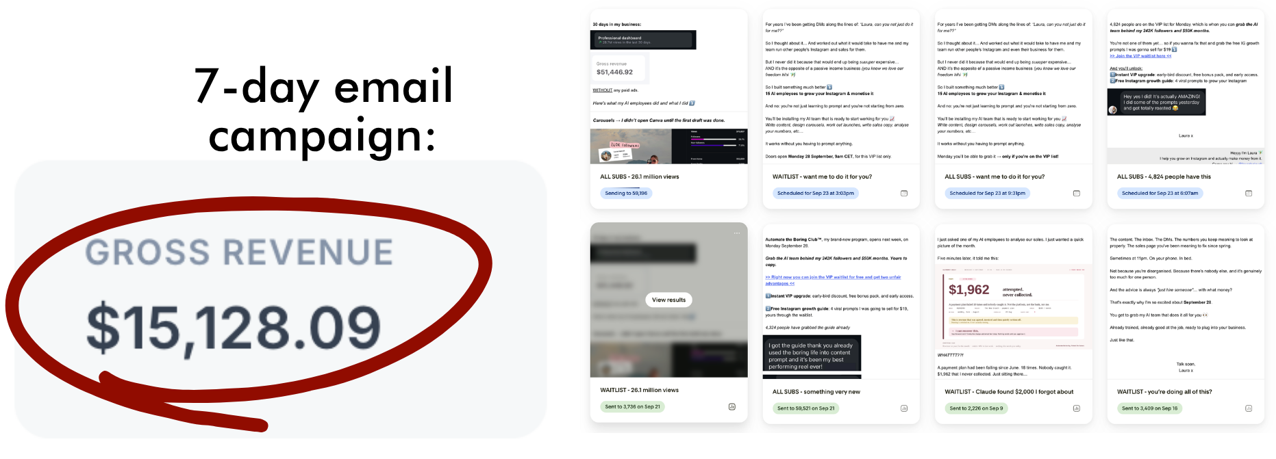 Email campaign: $15,128.09 gross revenue in 7 days, $51,446.92 monthly revenue